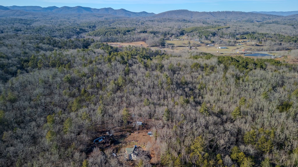 5.96-ac 5.96-ac Old Ridge Road Blue Ridge, GA 30513 - Photo 12 of 26