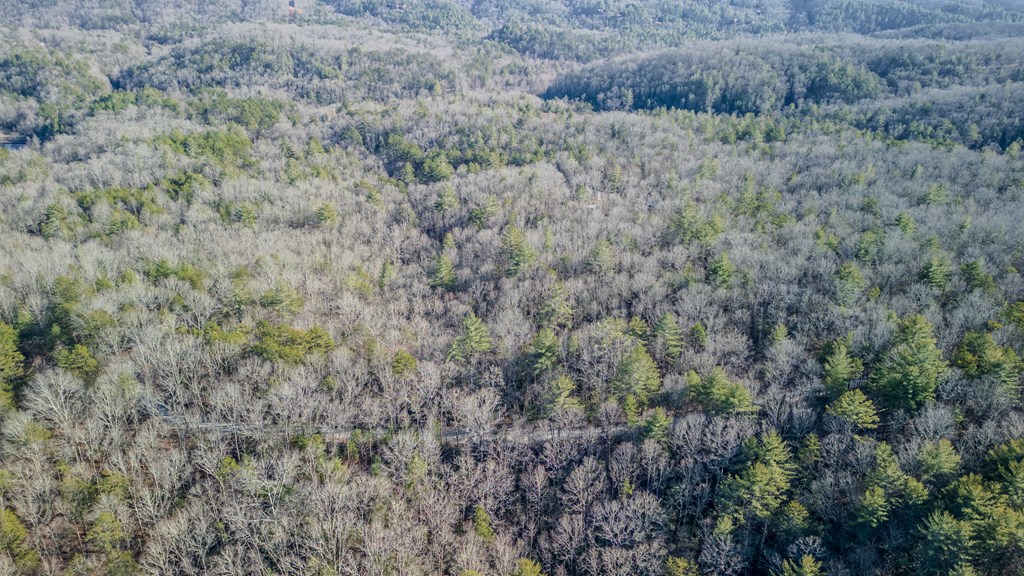 5.96-ac 5.96-ac Old Ridge Road Blue Ridge, GA 30513 - Photo 13 of 26