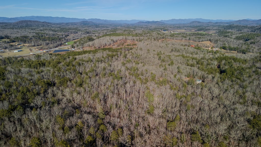 5.96-ac 5.96-ac Old Ridge Road Blue Ridge, GA 30513 - Photo 14 of 26