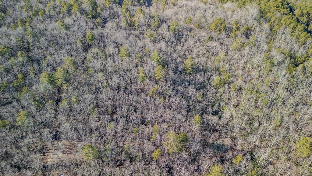 5.96-ac 5.96-ac Old Ridge Road Blue Ridge, GA 30513 - Photo 15 of 26