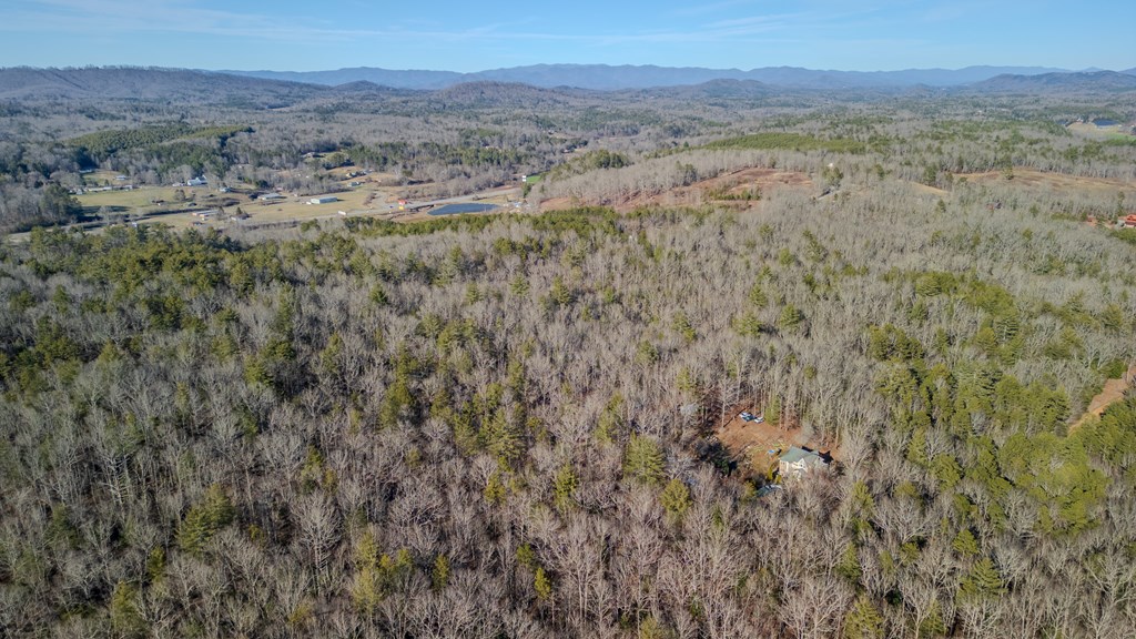 5.96-ac 5.96-ac Old Ridge Road Blue Ridge, GA 30513 - Photo 16 of 26