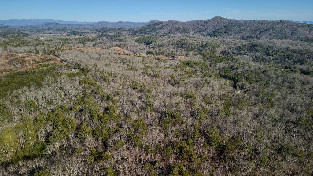5.96-ac 5.96-ac Old Ridge Road Blue Ridge, GA 30513 - Photo 17 of 26