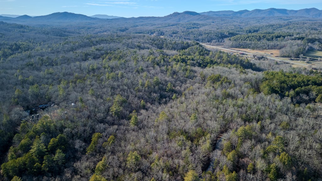 5.96-ac 5.96-ac Old Ridge Road Blue Ridge, GA 30513 - Photo 18 of 26