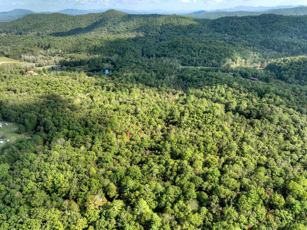 5.96-ac 5.96-ac Old Ridge Road Blue Ridge, GA 30513 - Photo 20 of 26