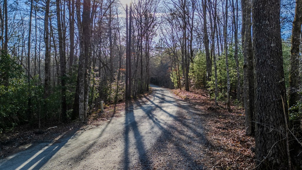 5.96-ac 5.96-ac Old Ridge Road Blue Ridge, GA 30513 - Photo 2 of 26