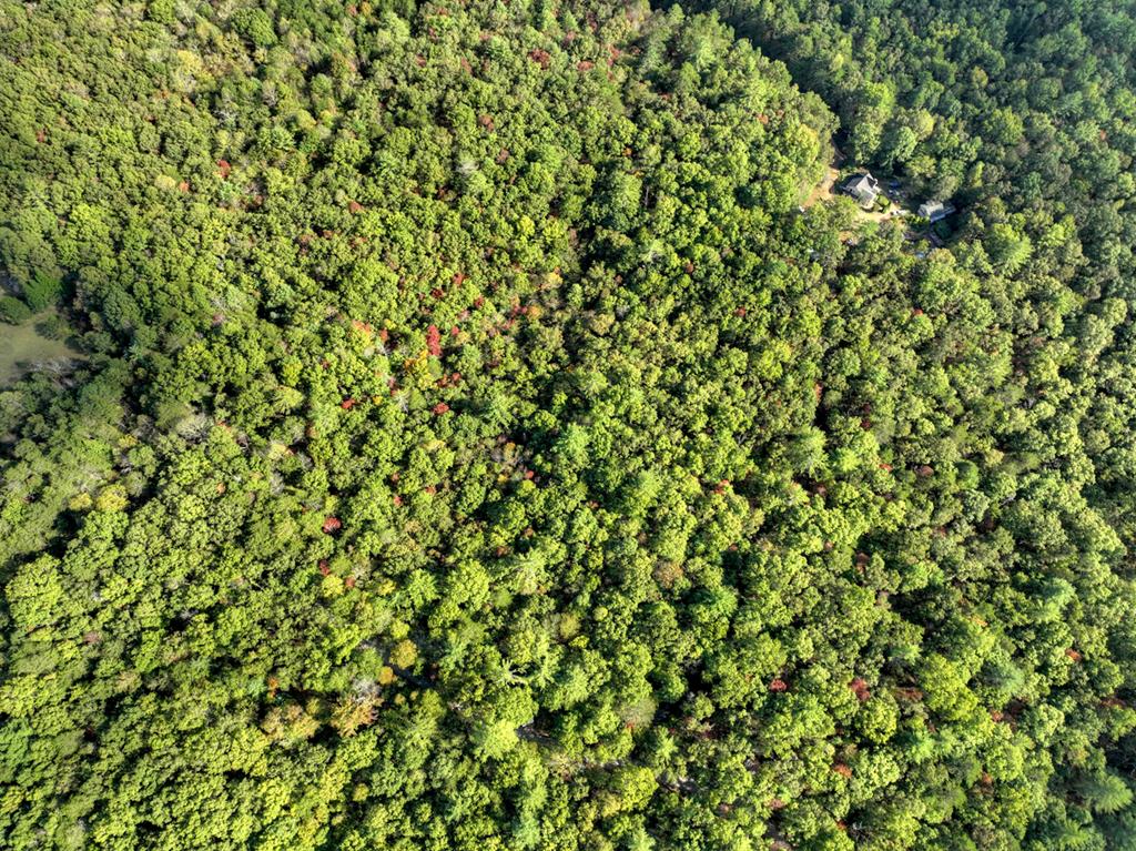 5.96-ac 5.96-ac Old Ridge Road Blue Ridge, GA 30513 - Photo 21 of 26