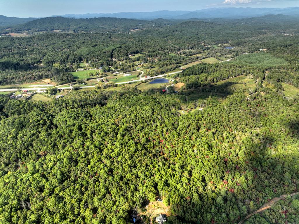 5.96-ac 5.96-ac Old Ridge Road Blue Ridge, GA 30513 - Photo 22 of 26