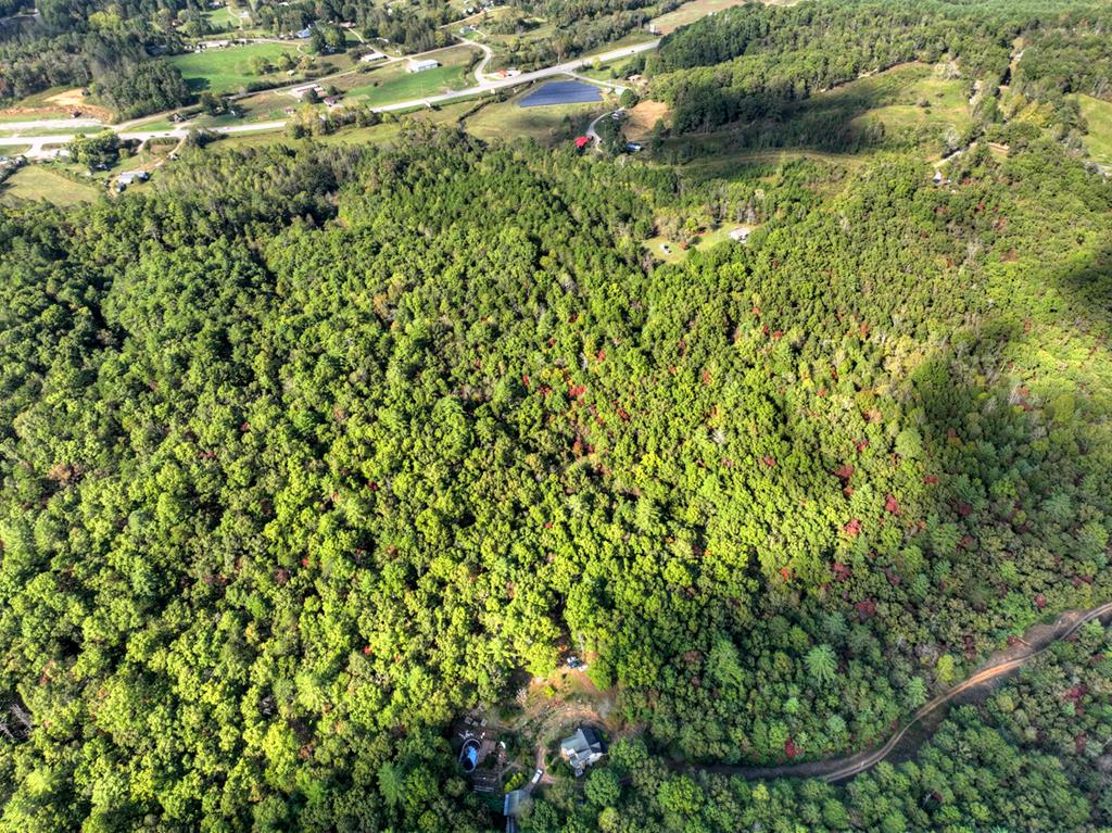 5.96-ac 5.96-ac Old Ridge Road Blue Ridge, GA 30513 - Photo 23 of 26