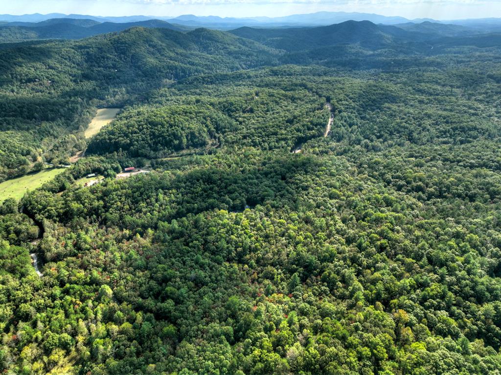 5.96-ac 5.96-ac Old Ridge Road Blue Ridge, GA 30513 - Photo 26 of 26