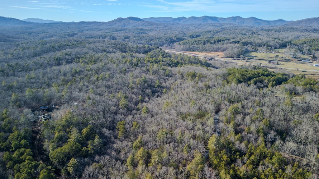 5.96-ac 5.96-ac Old Ridge Road Blue Ridge, GA 30513 - Photo 3 of 26