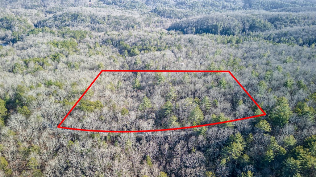 5.96-ac 5.96-ac Old Ridge Road Blue Ridge, GA 30513 - Photo 4 of 26