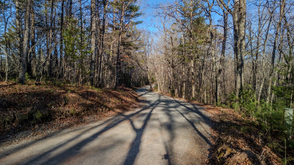 5.96-ac 5.96-ac Old Ridge Road Blue Ridge, GA 30513 - Photo 5 of 26