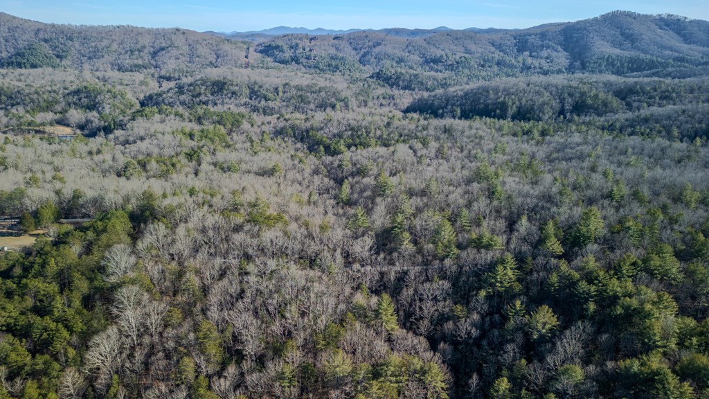 5.96-ac 5.96-ac Old Ridge Road Blue Ridge, GA 30513 - Photo 6 of 26