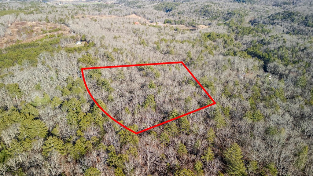 5.96-ac 5.96-ac Old Ridge Road Blue Ridge, GA 30513 - Photo 7 of 26