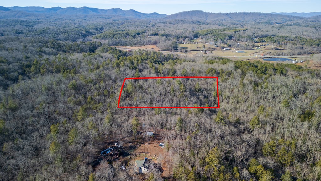 5.96-ac 5.96-ac Old Ridge Road Blue Ridge, GA 30513 - Photo 8 of 26