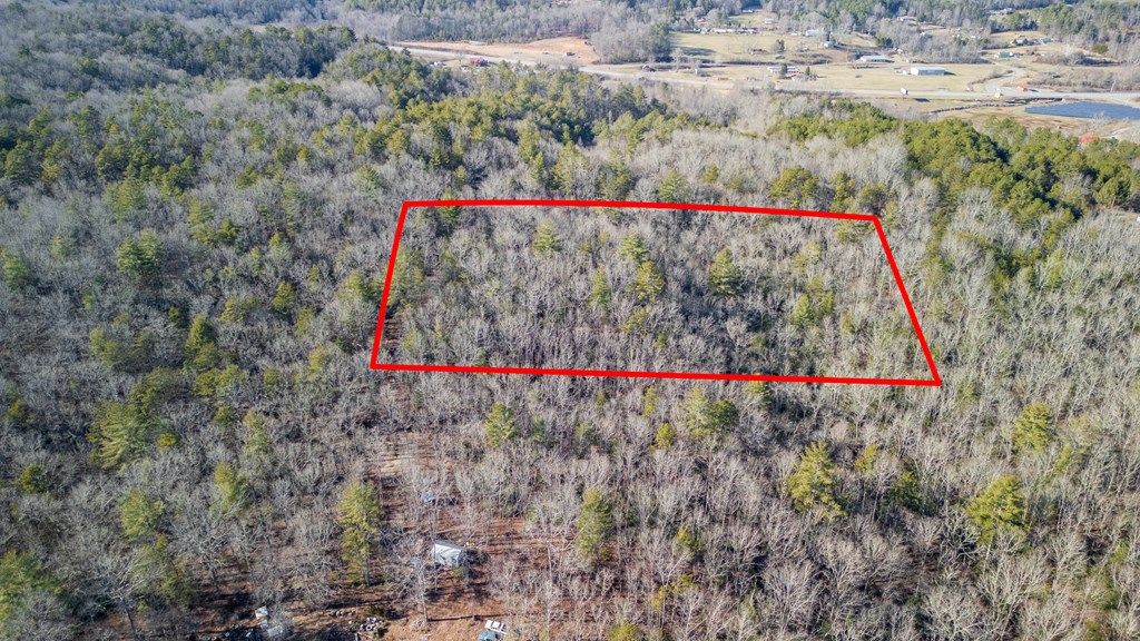 5.96-ac 5.96-ac Old Ridge Road Blue Ridge, GA 30513 - Photo 9 of 26
