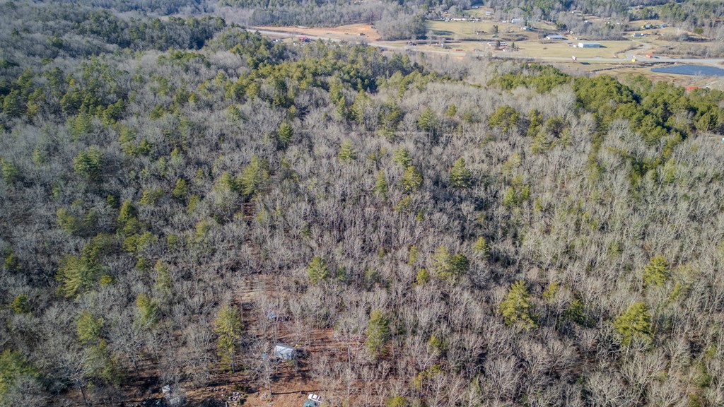 5.96-ac 5.96-ac Old Ridge Road Blue Ridge, GA 30513 - Photo 10 of 26