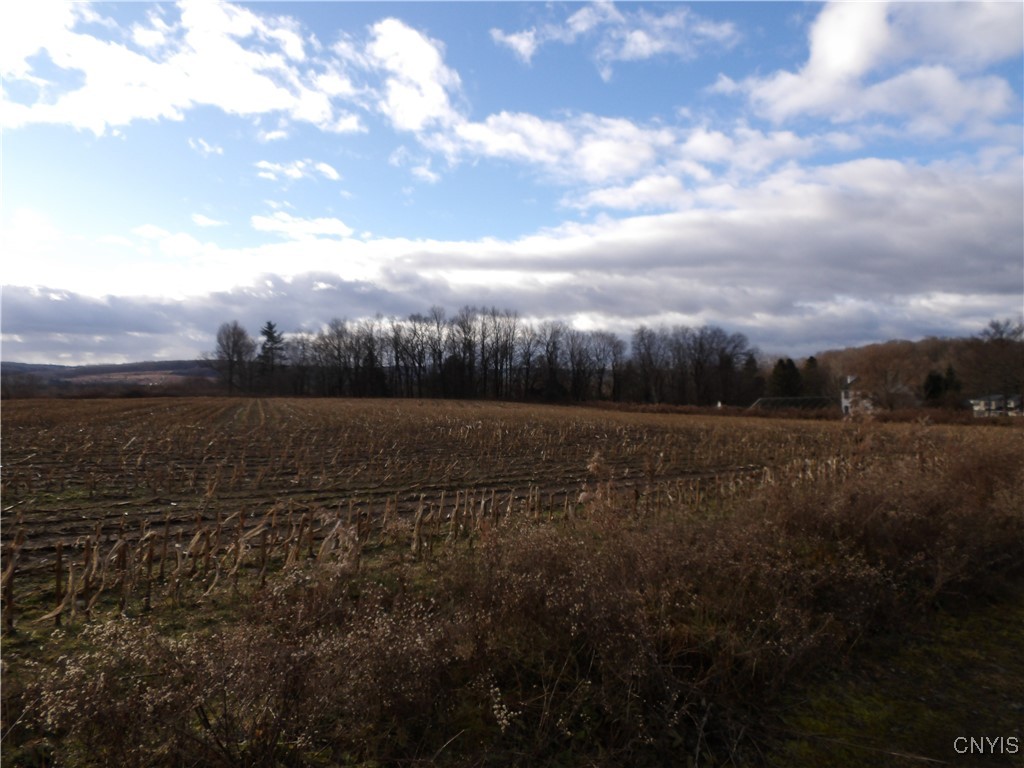 Kinney Gulf Road Cortland, NY 13045 - Photo 3 of 9 Distant views