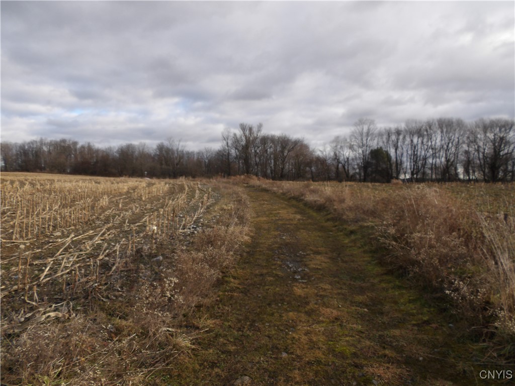 Kinney Gulf Road Cortland, NY 13045 - Photo 4 of 9 Fields