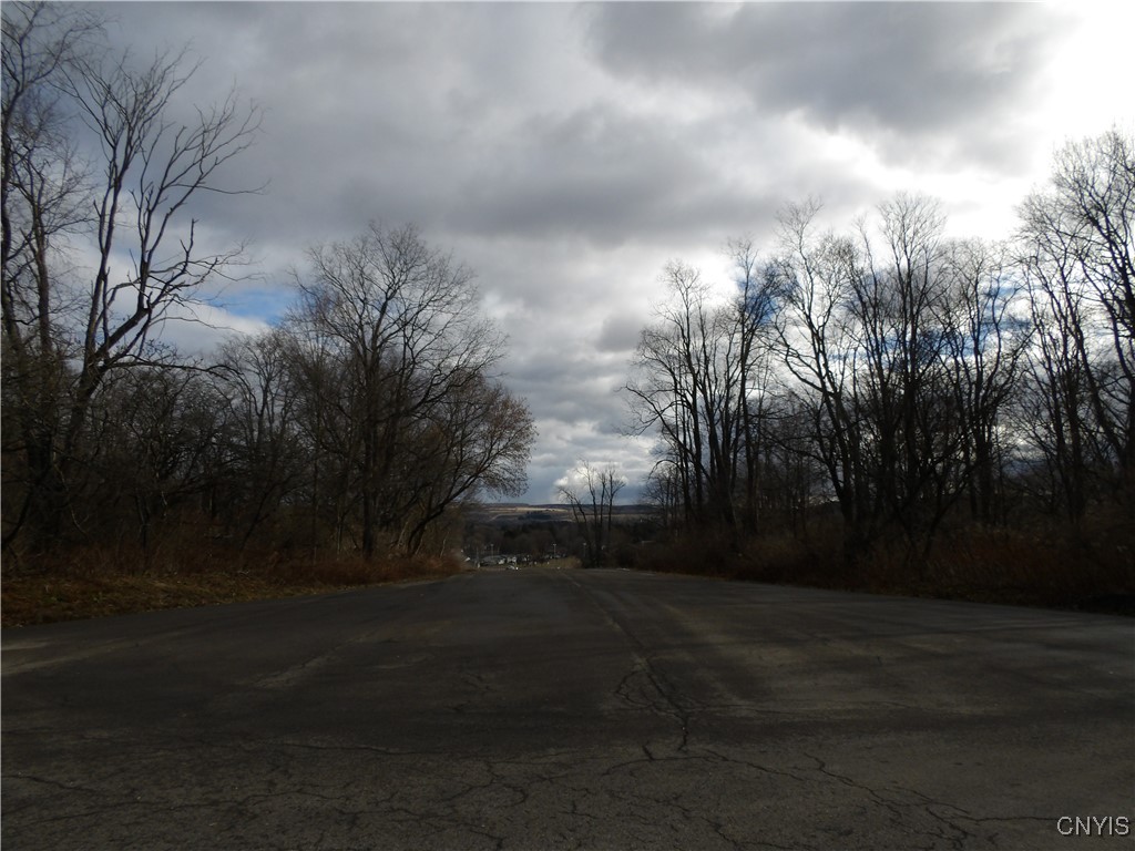 Kinney Gulf Road Cortland, NY 13045 - Photo 5 of 9 Road front on Commons Ave