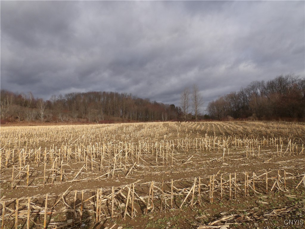 Kinney Gulf Road Cortland, NY 13045 - Photo 6 of 9 Fields