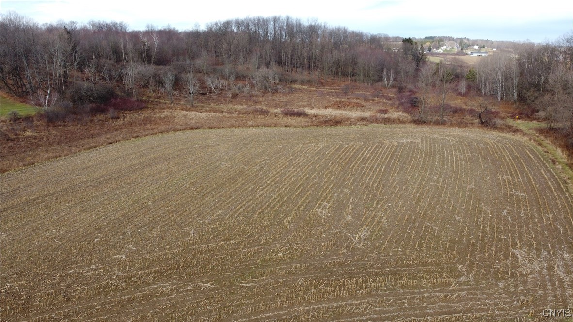 Kinney Gulf Road Cortland, NY 13045 - Photo 8 of 9