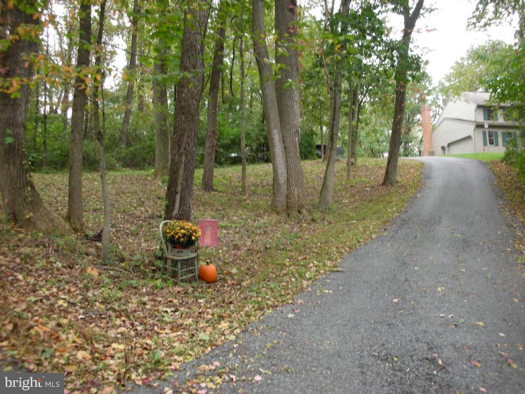 443 Speedwell Forge Road Lititz, PA 17543 - Photo 5 of 10
