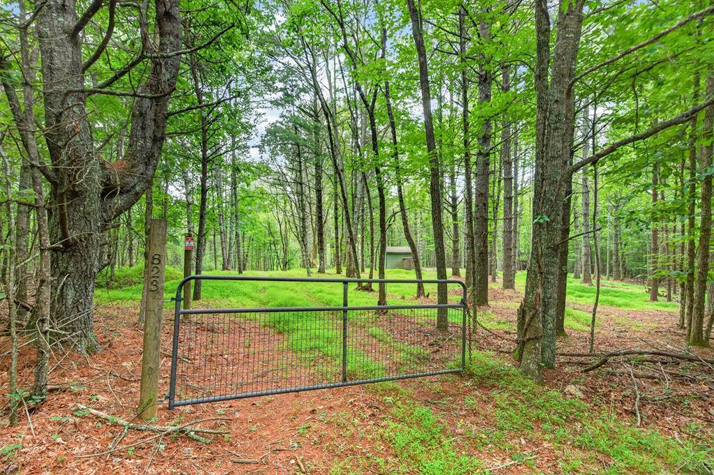 823 Marian Road, Unit 42 Dugspur, VA 24325 - Photo 2 of 31 Gallery Image 2