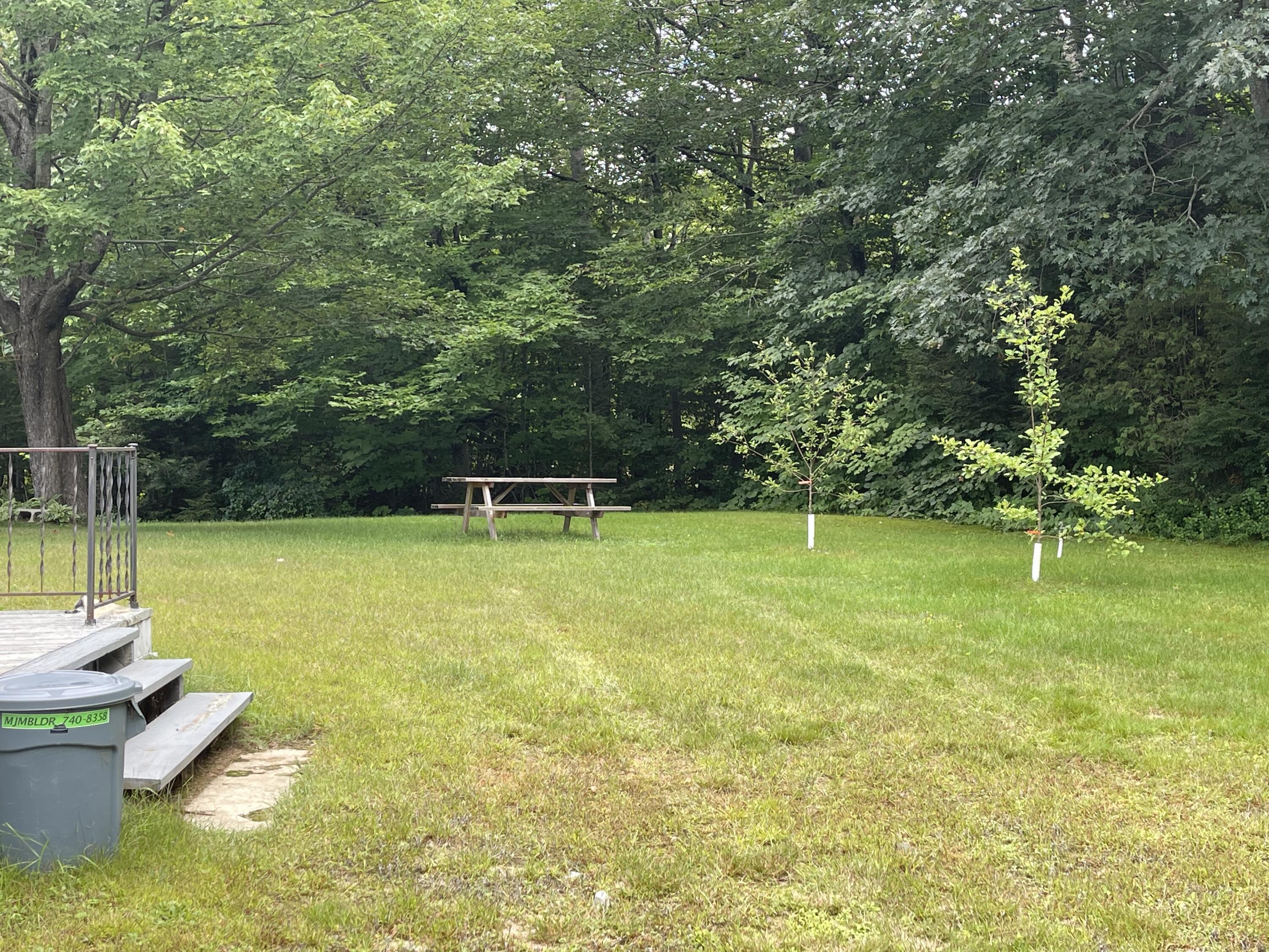 1329 Auburn Road Peru, ME 04290 - Photo 5 of 14 1329 Aubrun road back yard