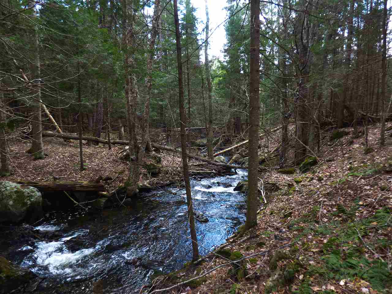 West Bath Road Bath, NH 03740 - Photo 4 of 10