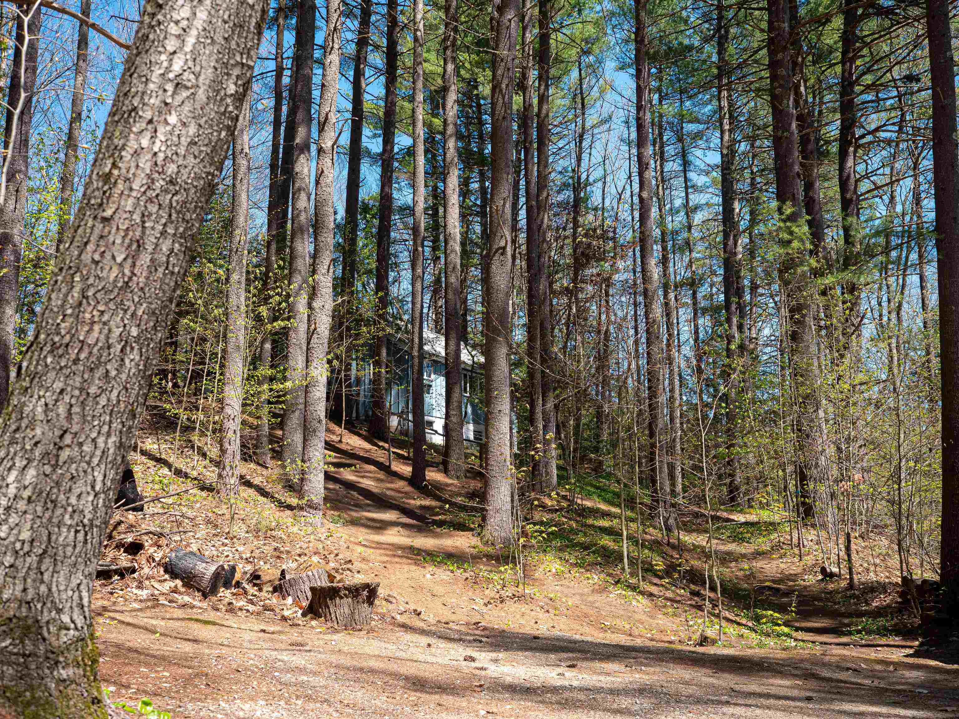 61 Cottage Road Weare, NH 03281 - Photo 27 of 30