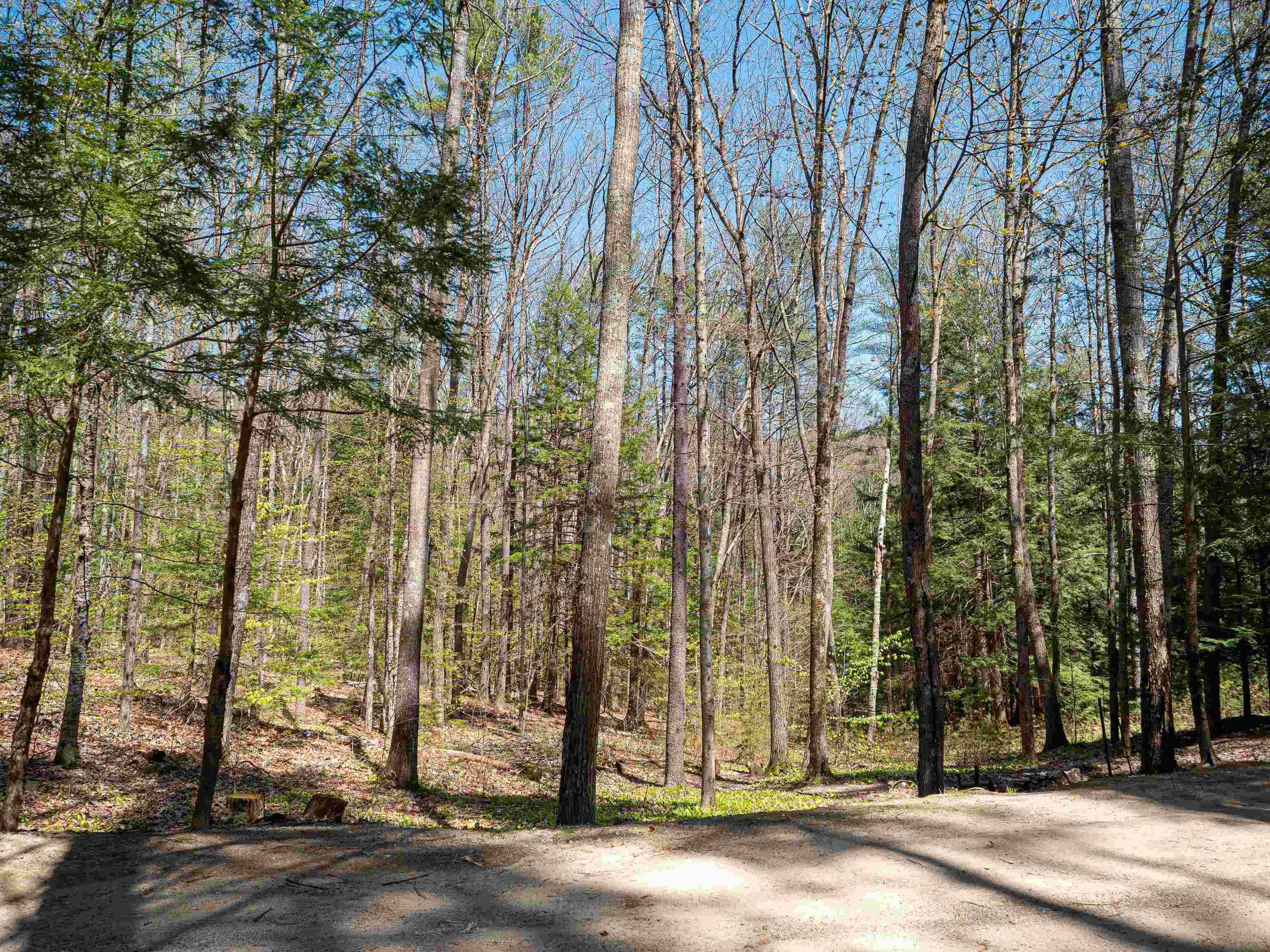 61 Cottage Road Weare, NH 03281 - Photo 28 of 30