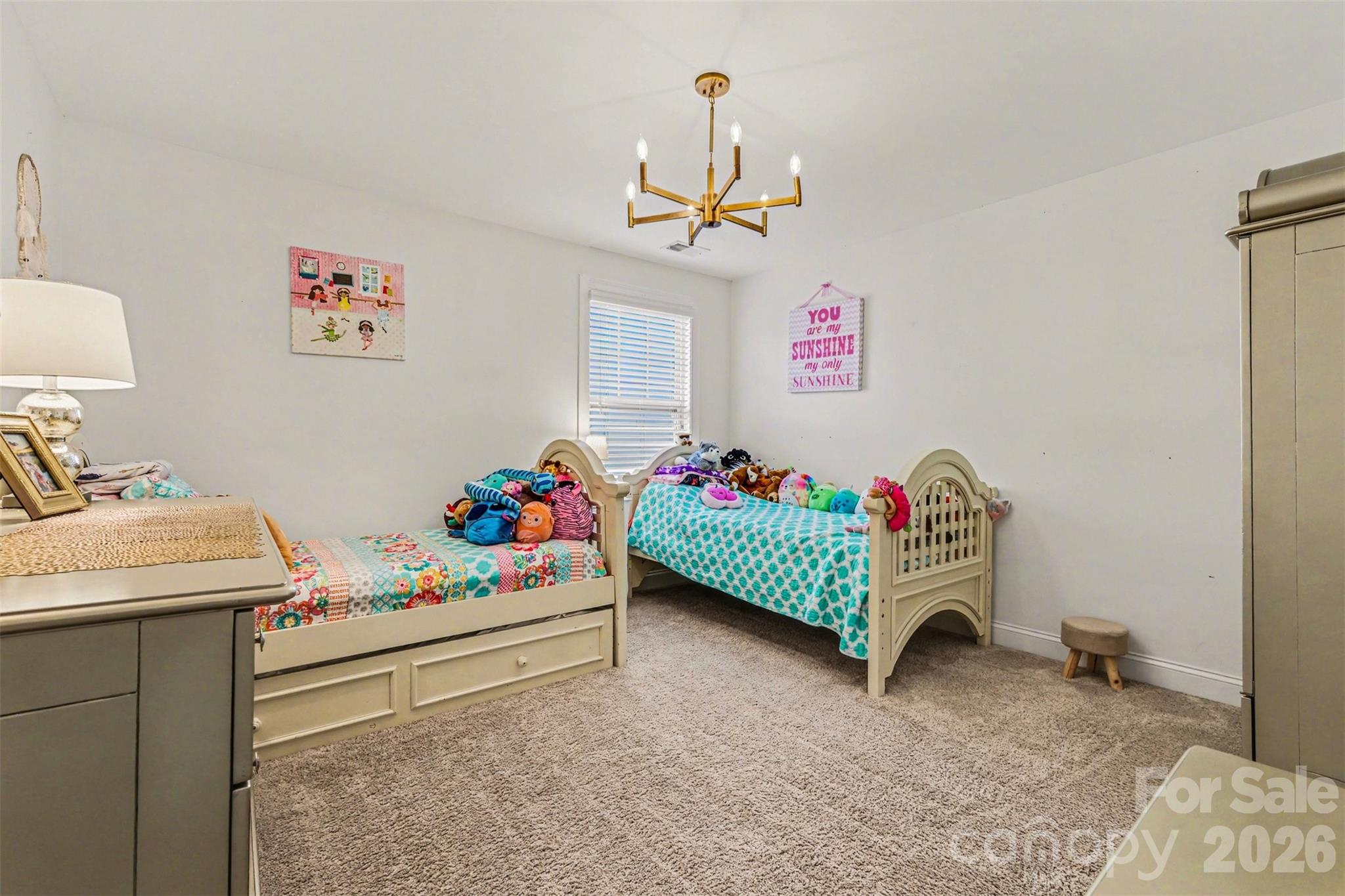 850 Coralbell Way Fort Mill, SC 29708 - Photo 27 of 48