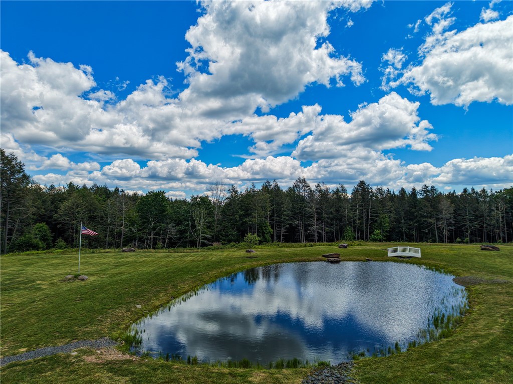 89 Zinno Road Windham, NY 12496 - Photo 38 of 50
