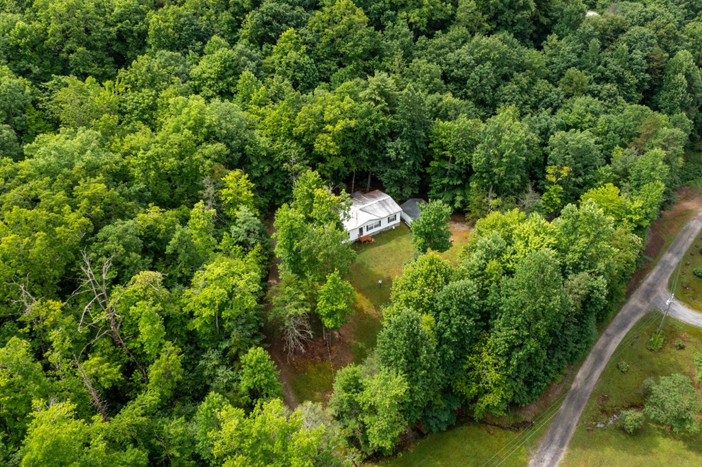 594 Horton Road Murphy, NC 28906 - Photo 10 of 45