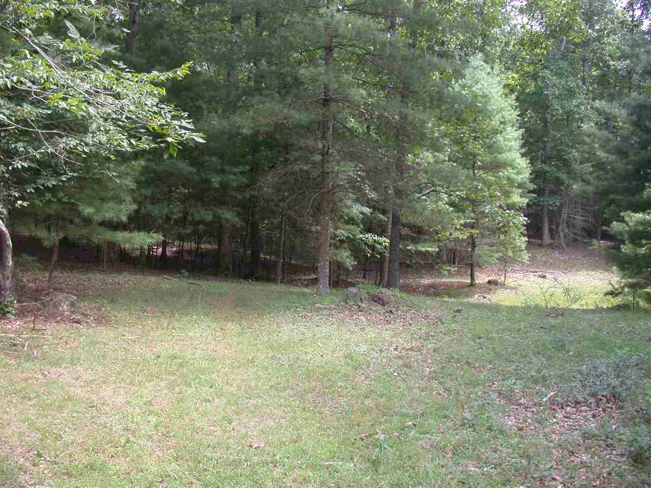 Tbd Marble Valley Road Deerfield, VA 24432 - Photo 15 of 21 Gallery Image 15