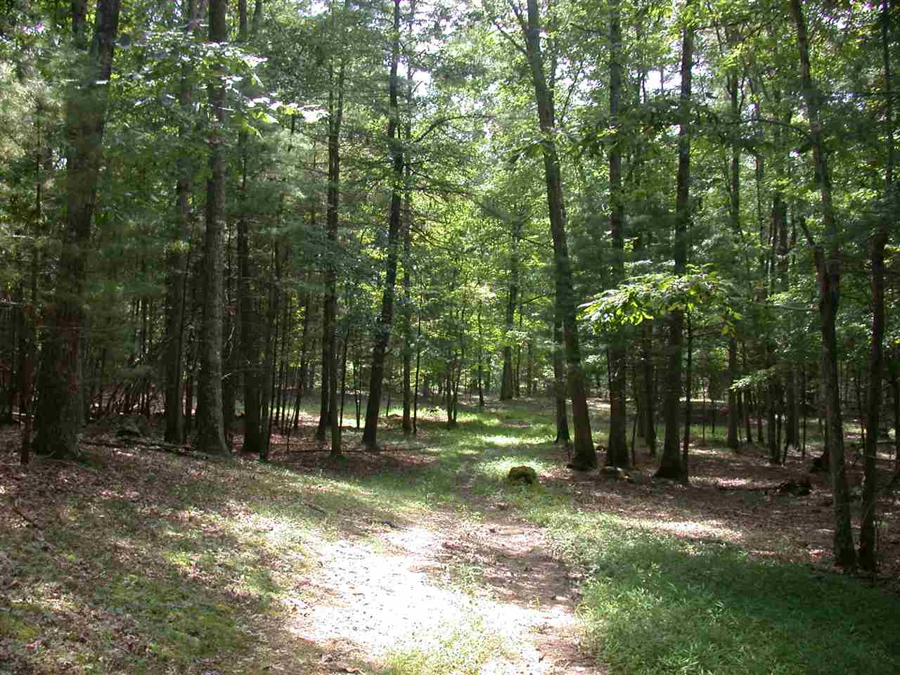 Tbd Marble Valley Road Deerfield, VA 24432 - Photo 16 of 21 Gallery Image 16