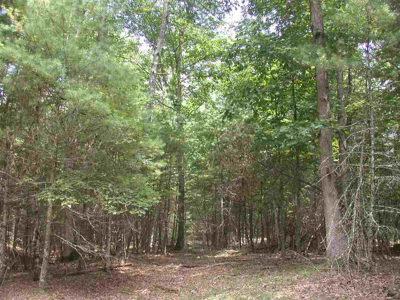 Tbd Marble Valley Road Deerfield, VA 24432 - Photo 17 of 21 Gallery Image 17