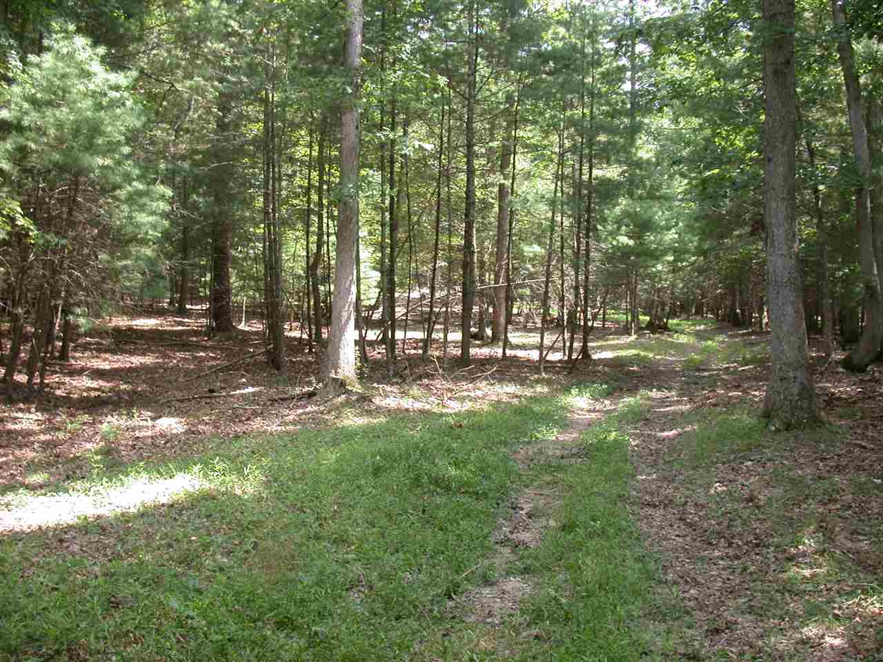 Tbd Marble Valley Road Deerfield, VA 24432 - Photo 18 of 21 Gallery Image 18