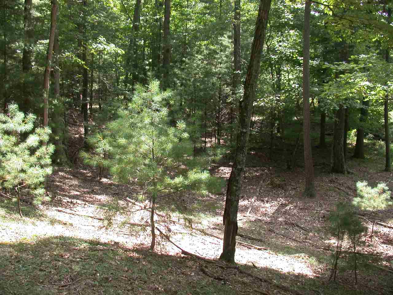 Tbd Marble Valley Road Deerfield, VA 24432 - Photo 19 of 21 Gallery Image 19