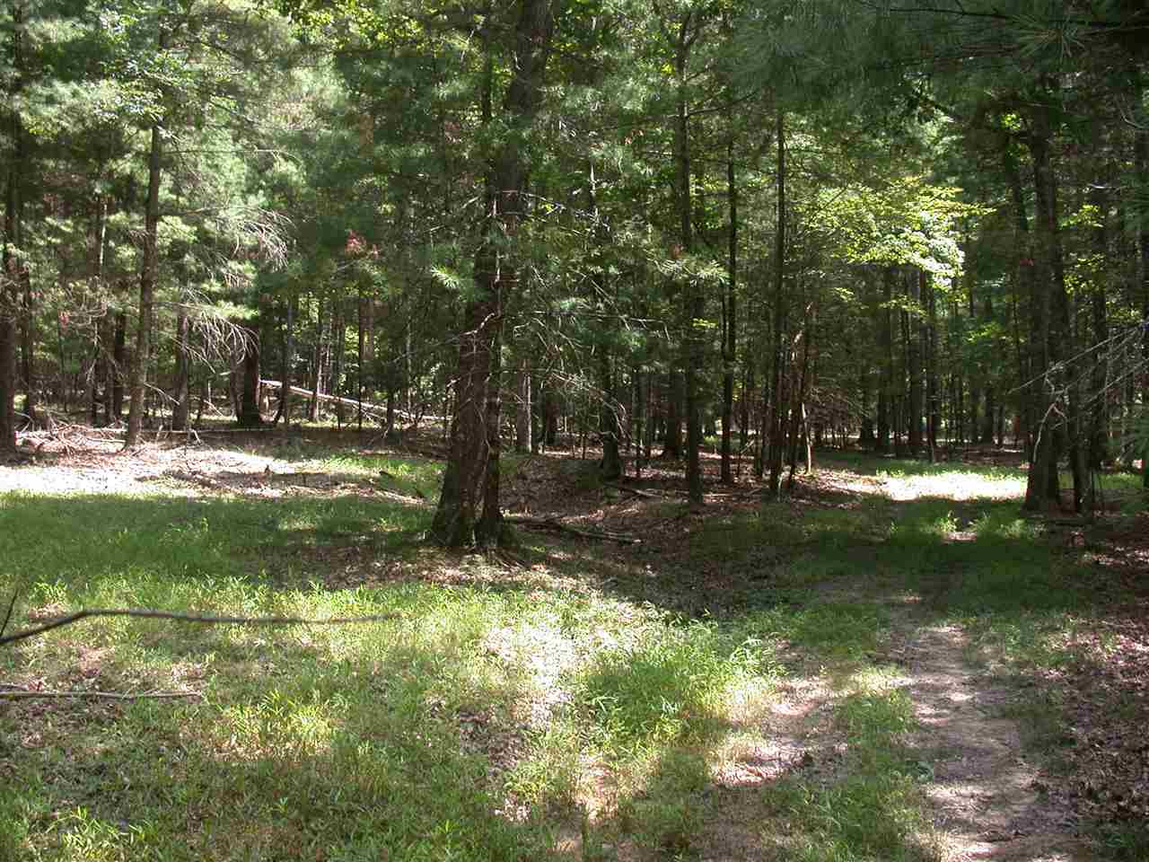 Tbd Marble Valley Road Deerfield, VA 24432 - Photo 20 of 21 Gallery Image 20