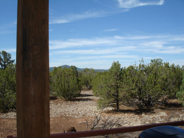 1 Highway 61 Concho, AZ 85924 - Photo 3 of 29