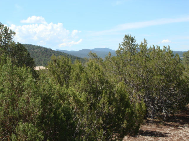 1 Highway 61 Concho, AZ 85924 - Photo 4 of 29