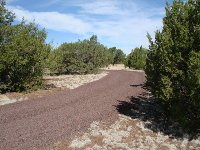 1 Highway 61 Concho, AZ 85924 - Photo 10 of 29