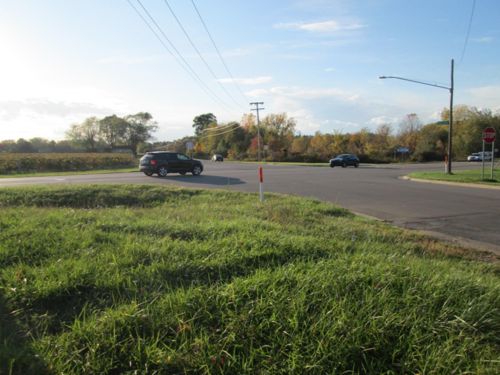 V/l Niles Road St. Joseph, MI 49085 - Photo 4 of 5 IMG_4835