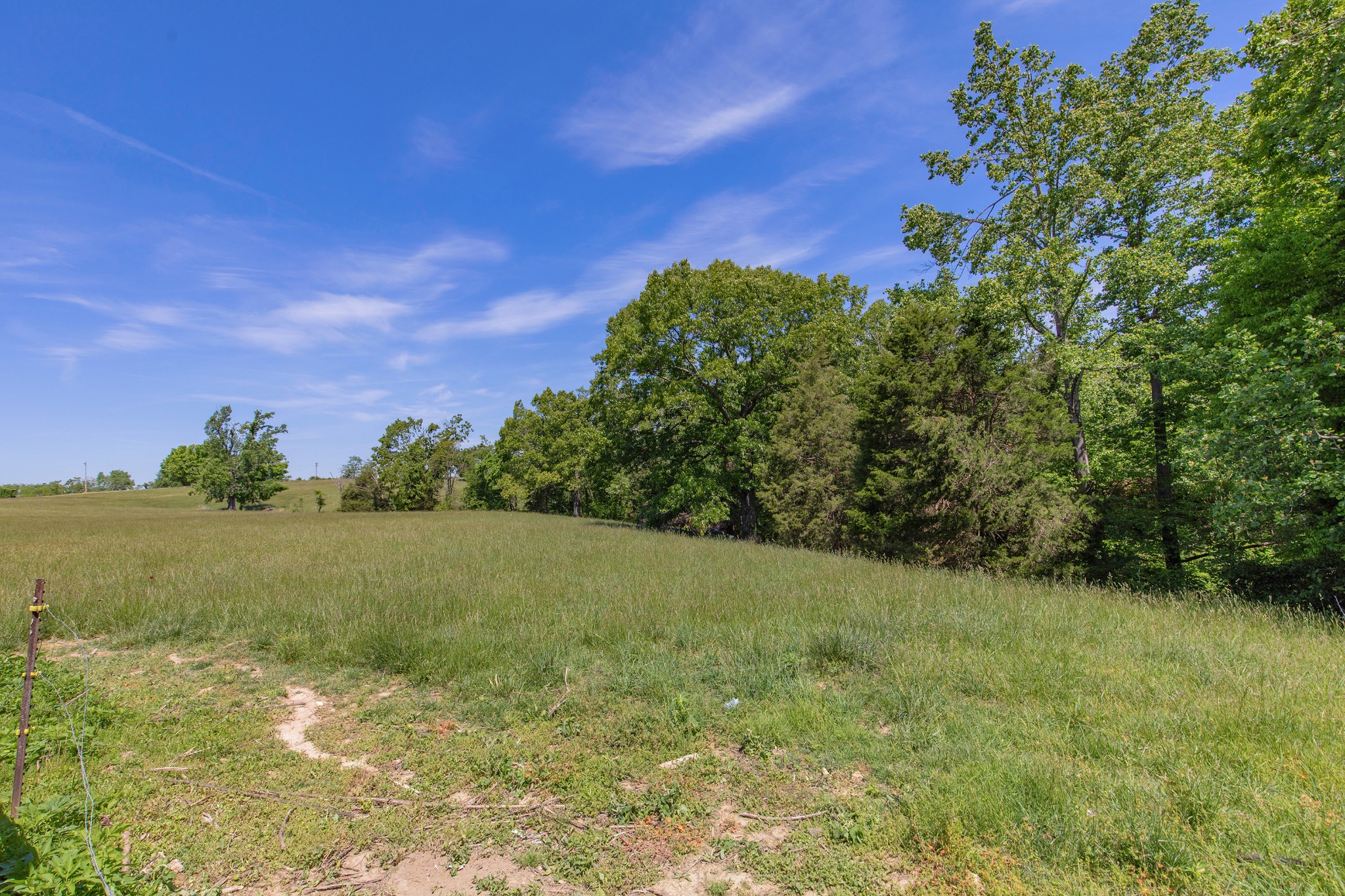 2976 Shrum Cemetery Road Westmoreland, TN 37186 - Photo 60 of 84