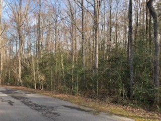 166 Bailey Brown Road Easley, SC 29640 - Photo 3 of 3