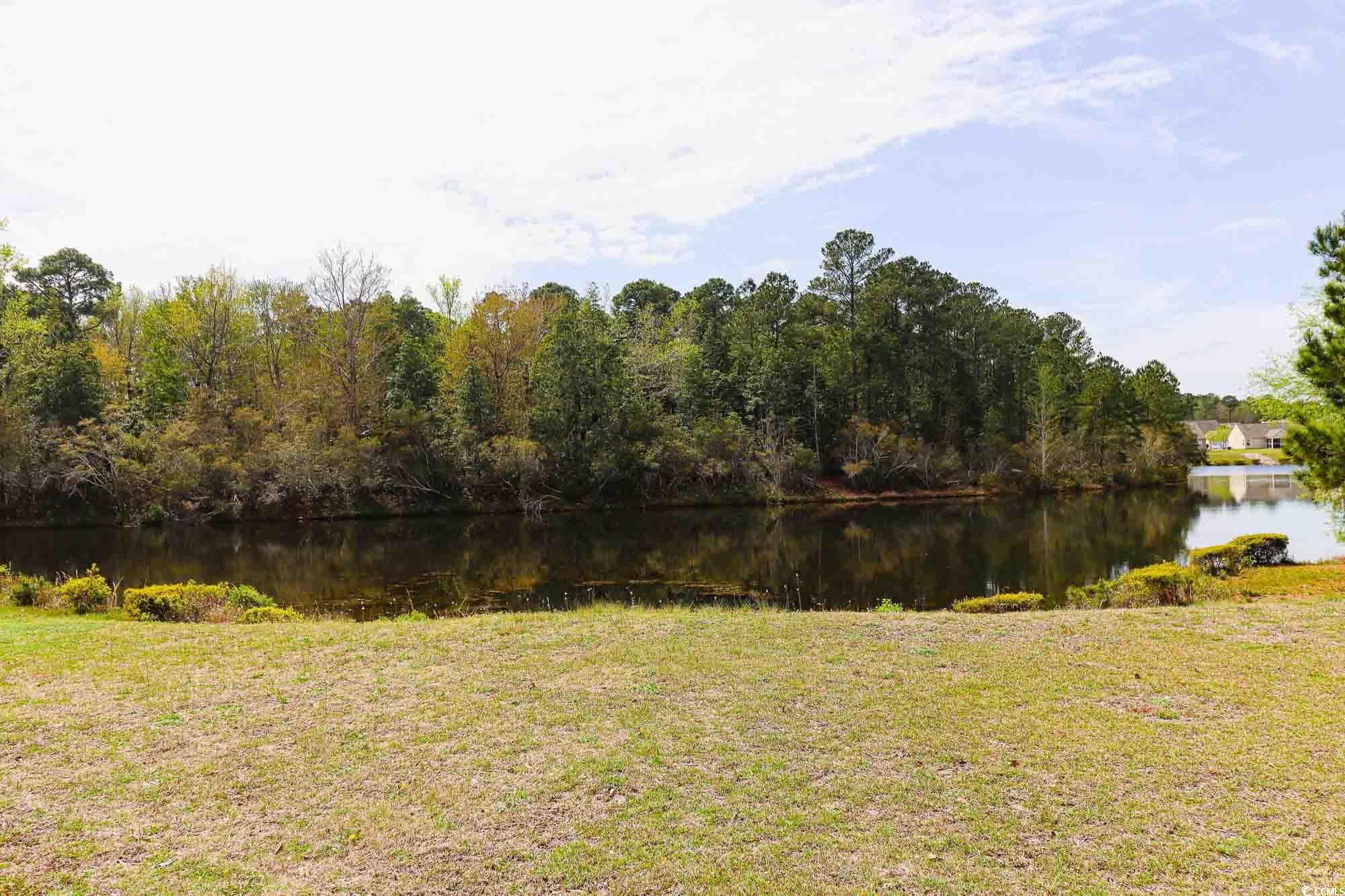 2041 Haystack Way Myrtle Beach, SC 29579 - Photo 2 of 29 Gallery Image 2