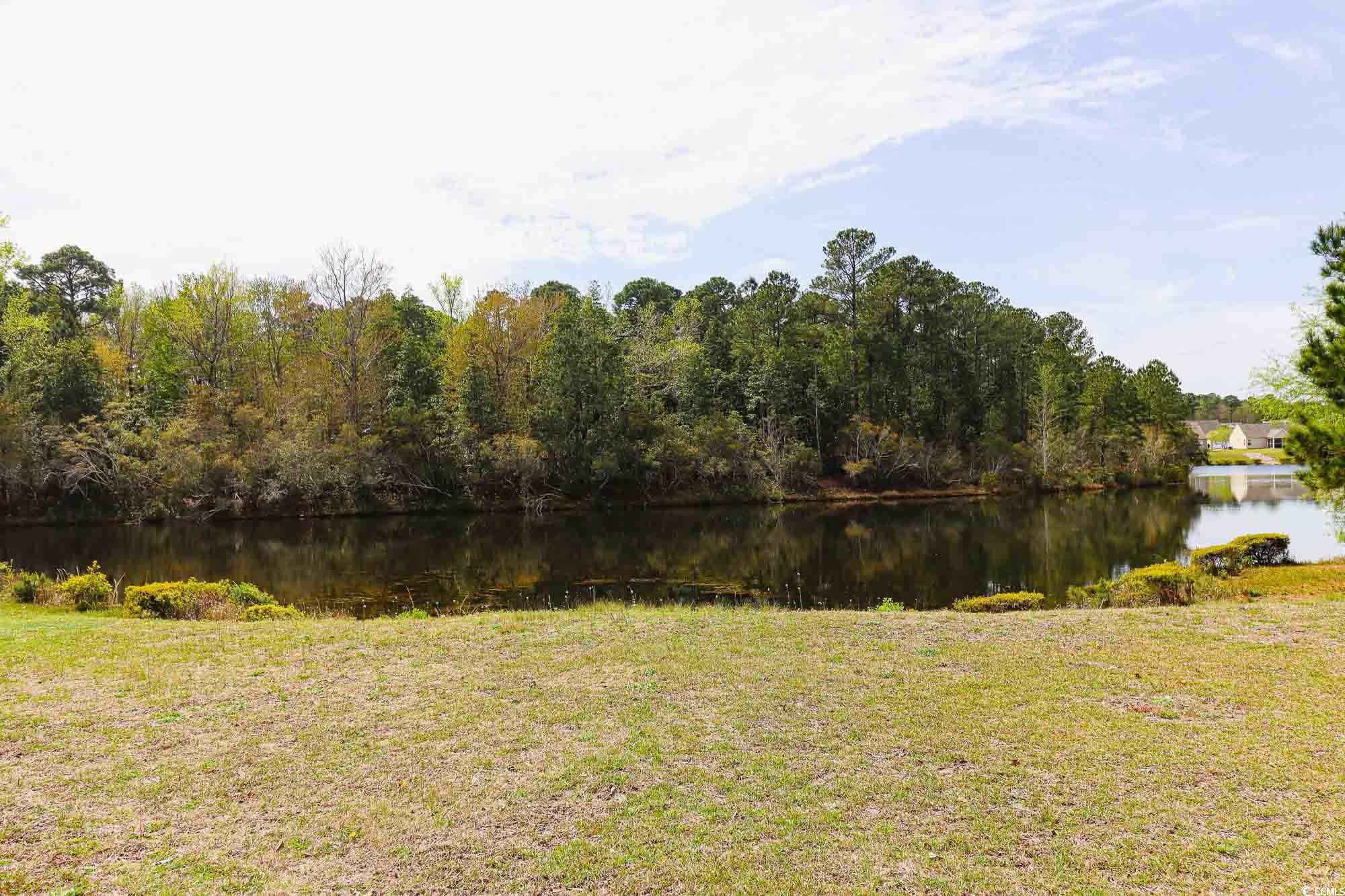 2041 Haystack Way Myrtle Beach, SC 29579 - Photo 23 of 29 Gallery Image 23