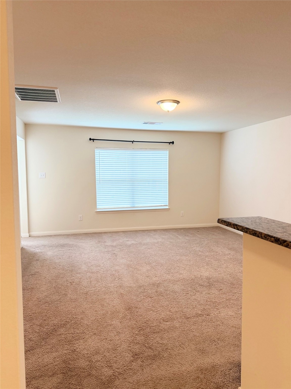 22418 Threefold Ridge Drive Hockley, TX 77447 - Photo 8 of 19 an empty room with a empty space and windows